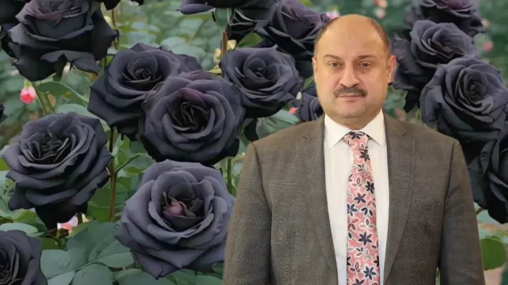 Karagül
