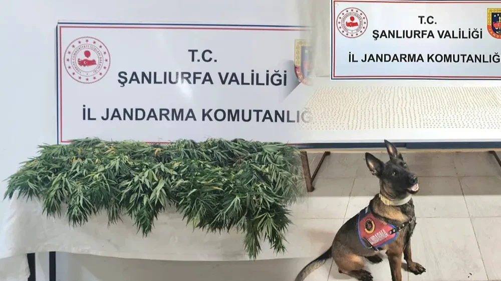 Şanlıurfa’da Uyuşturucu Operasyonu: 2 Şüpheli Yakalandı