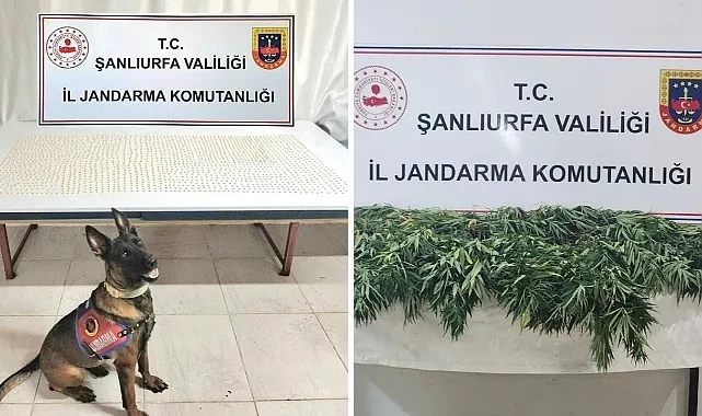 Şanlıurfa