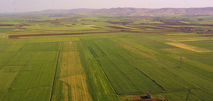 Arazi kiralamaları ertelendi!