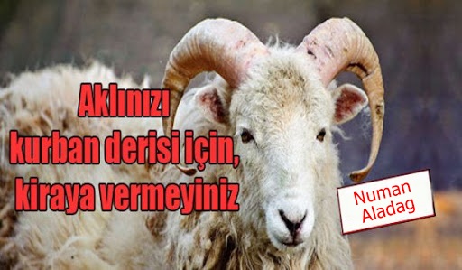 Aklınızı Kurban Derisi İçin Kiraya Vermeyiniz