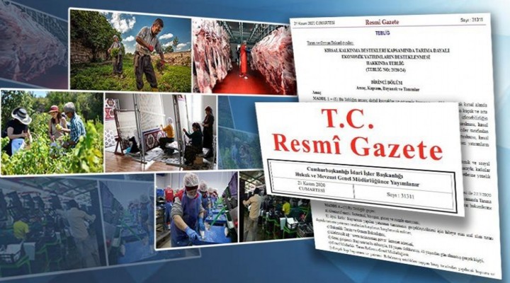 Kim Tutar Zeynel Başkanı! 