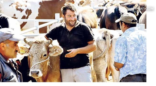 Hissedarın Niyeti Et İse Kurban Geçersizdir’