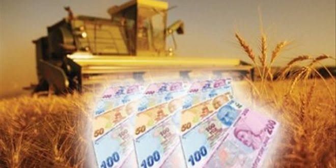 2019 yılı tarımsal destekleme tutarları belli oldu